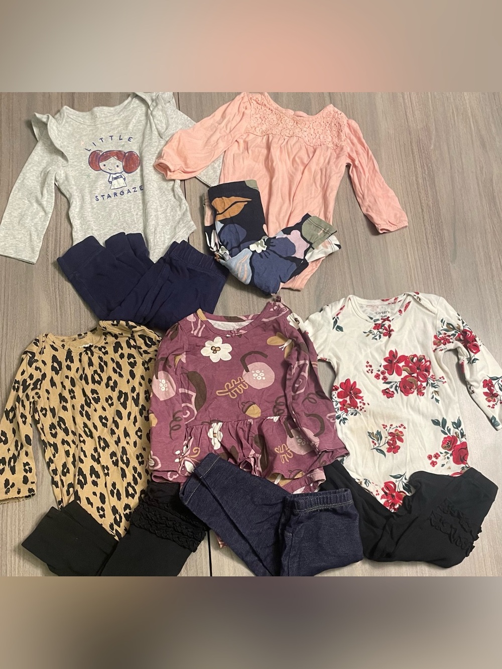 9 Month Baby Girl Clothing Bundle – 10 Pieces!